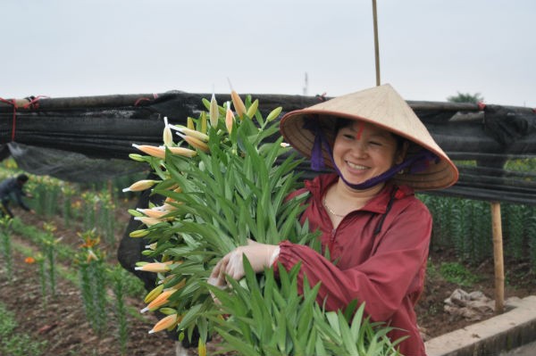 Tay Tuu flower village in Spring - ảnh 13